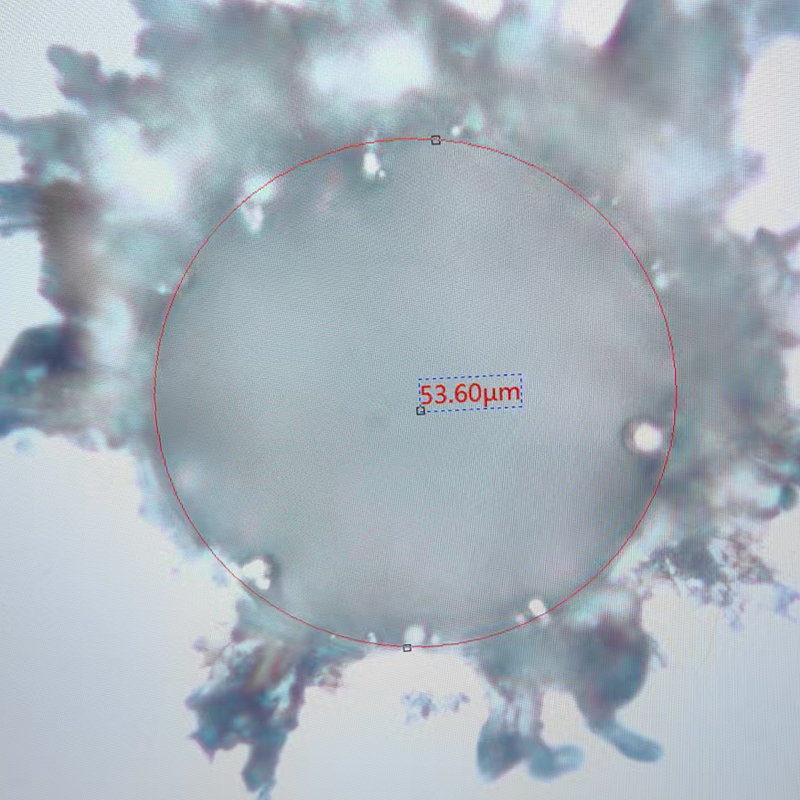 ميكروفيا الليزر الدقيقة